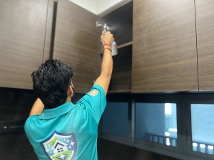 Home Guards, formaldehyde removal.