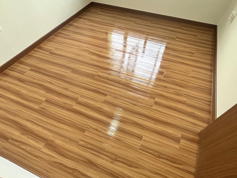 Professional cleaning service deep cleaning for vinyl floors with Vinyl Guards